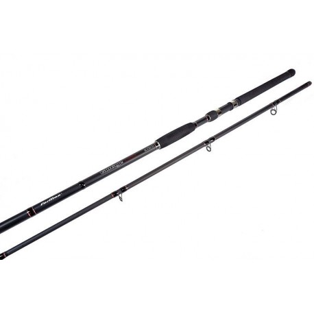 VANTAGE CATFISH 2.70m 100-300gr