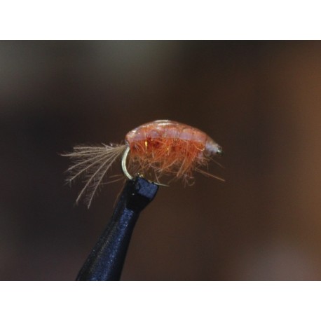 Gammarus - 4 бр