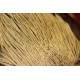Cock Hackle