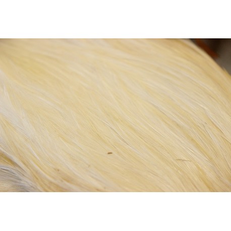 Cock Hackle