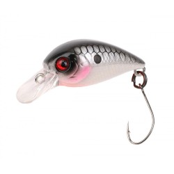 Little Fish 25