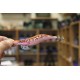 Squid Jig 13 cm 20 gr color L