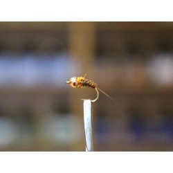 Curved Pheasant Tail Nymph