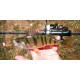 Kingdom Jig 3014B  7 gr. C757