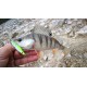 Kingdom Jig 3014B  7 gr. GY