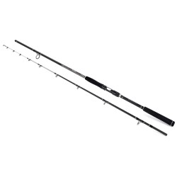BLACK RIVER 2.25m 50-150g