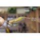 Squid Jig 12 cm 15 gr color 55