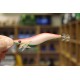 Squid Jig 12 cm 15 gr color 1