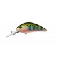 ATTACK STINGER 40
