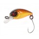 Little Fish 25