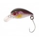 Little Fish 25