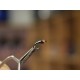 Perdigon Chironomid Black №14