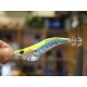 Калмариера Squid Jig Size 3 12 cm 15 gr color 83