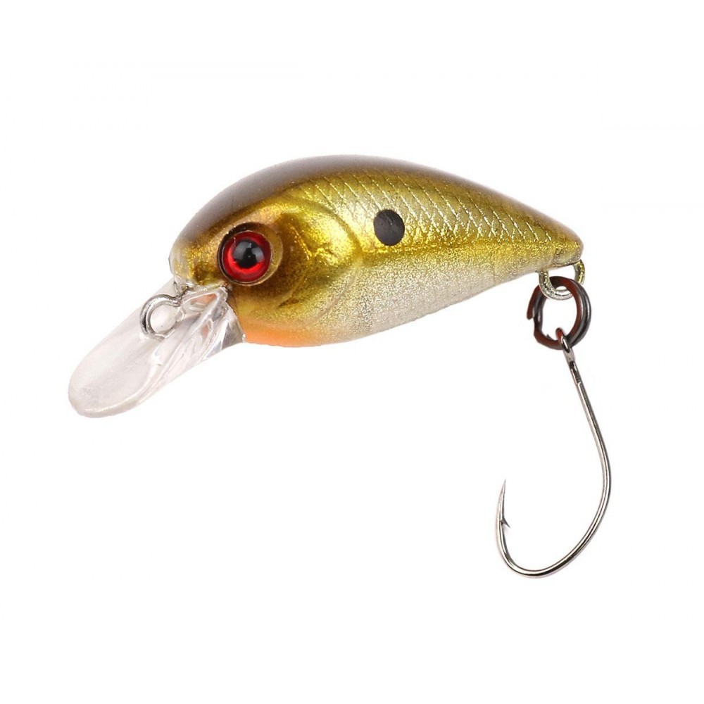Little FIsh 740266