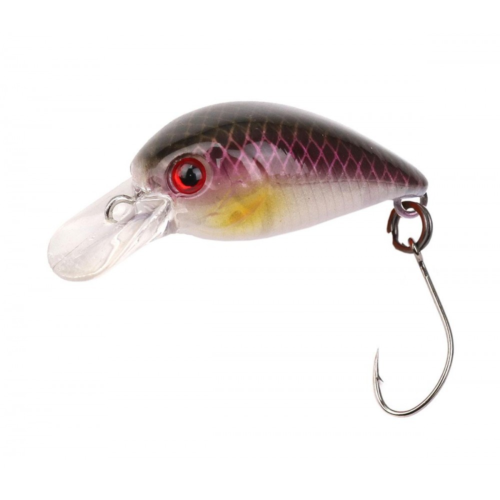 Little FIsh 740268