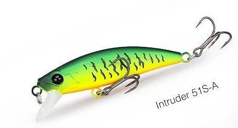 Intruder 51 A