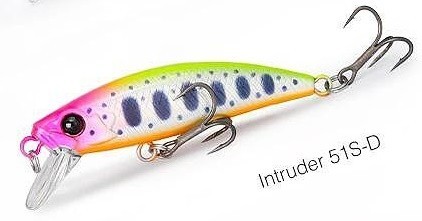 Intruder 51 D