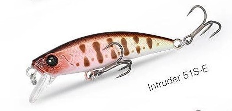 Intruder 51 E