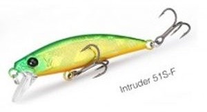 Intruder 51 F