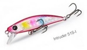 Intruder 51 I