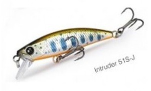 Intruder 51 J