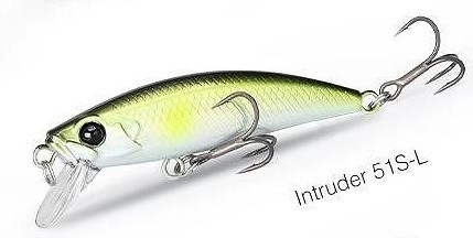 Intruder 51 L