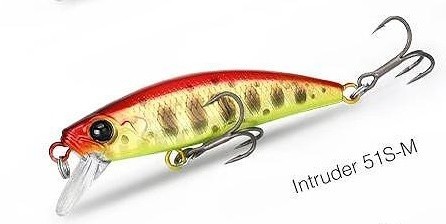 Intruder 51 M