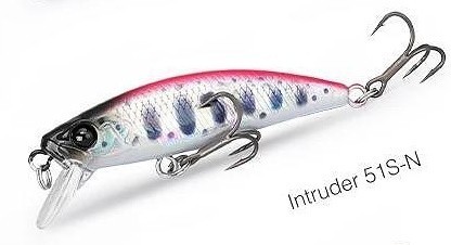 Intruder 51 N