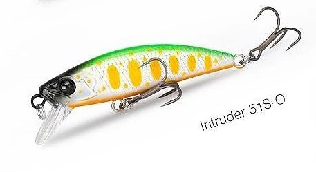 Intruder 51 O