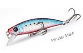 Intruder 51 P