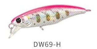 DW 69 H