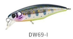 DW 69 I