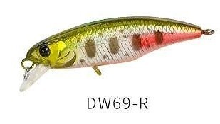 DW 69 R