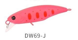 DW 69 J