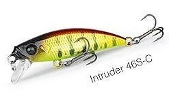 Intruder 46 C
