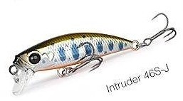 Intruder 46 J