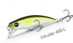 Intruder 46 L