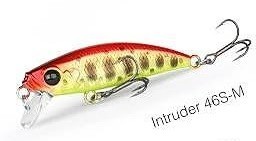 Intruder 46 M